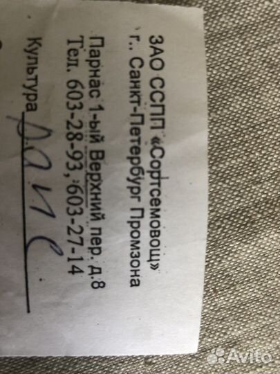 Семена сидерат рапс для улучшения земли