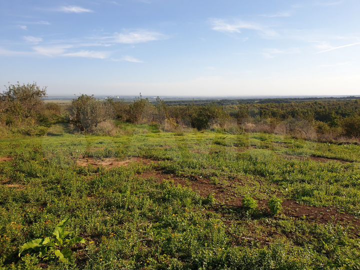 Участок 55 сот. (СНТ, ДНП)