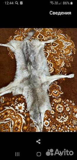 Шкура волка