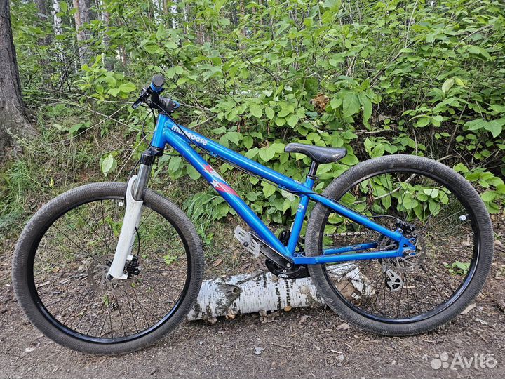 Mongoose fireball 26