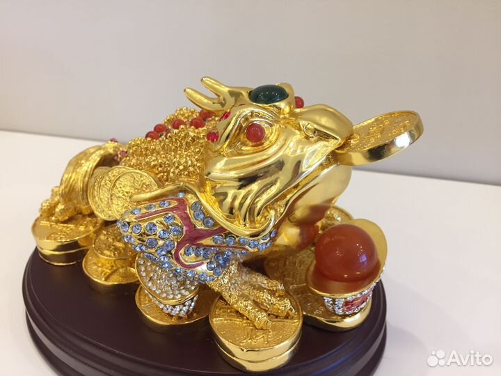 Денежная лягушка