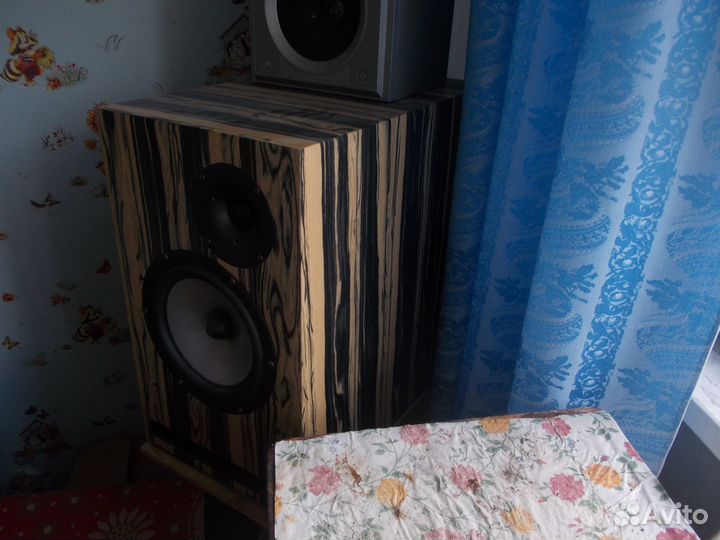 Акустическая система