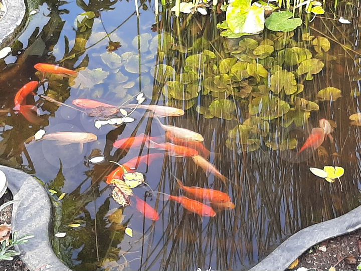 Дом 110 м² на участке 10 сот.