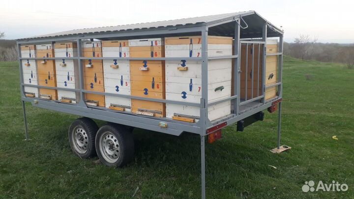 Пчелопавильон