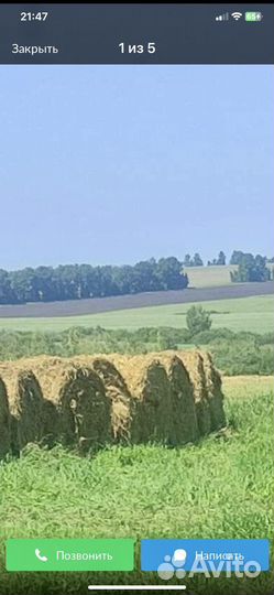 Продам сено в рулонах