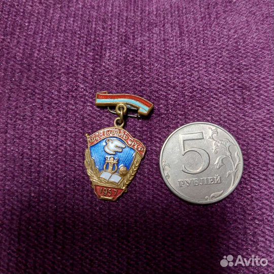 Значок фестиваль молодёжи и студентов Украины