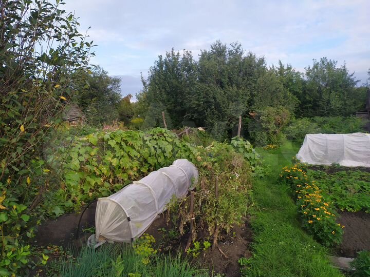 Участок 4 сот. (СНТ, ДНП)