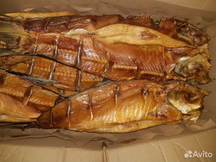 Рыба балыки холодного копчения