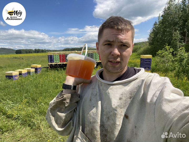 Мёд башкирский свежий. Собственная пасека