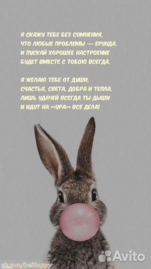 Примем в дар животных, возьмём на передержку