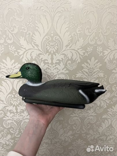 Утки для охоты, утка садовая