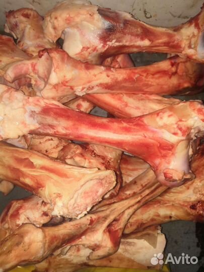 Корм для собак, рубец.косточки