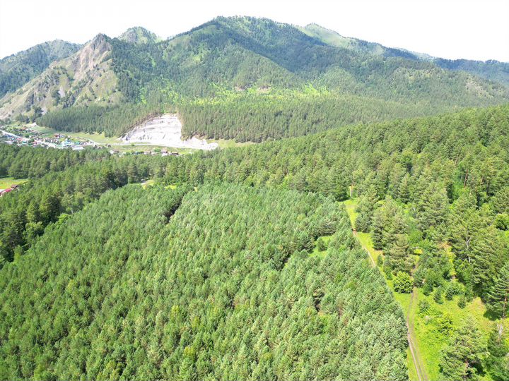 Участок 70,8 сот. (СНТ, ДНП)