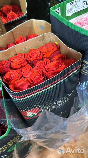 Цветы из эквадора,голландии И краснодара