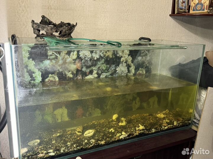 Аквариум с рыбками