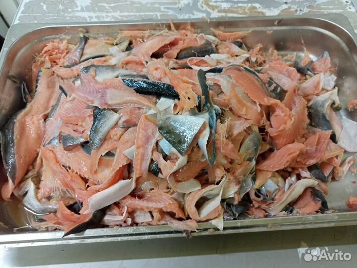 Хлеб и рыба горбуша на корм животным