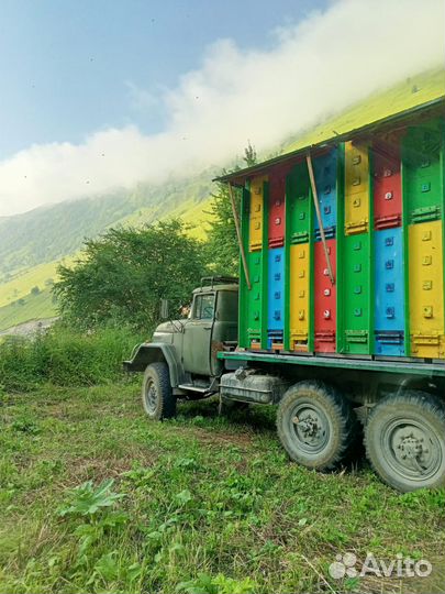 ЗИЛ 131.и пчелы павильон берендей 3