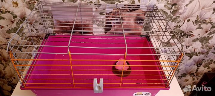Клетка для грызунов бу