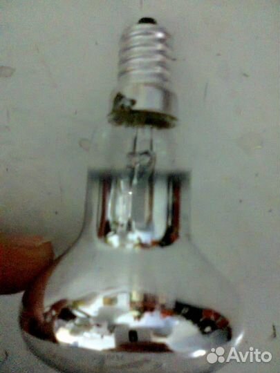 Продаю лампочки