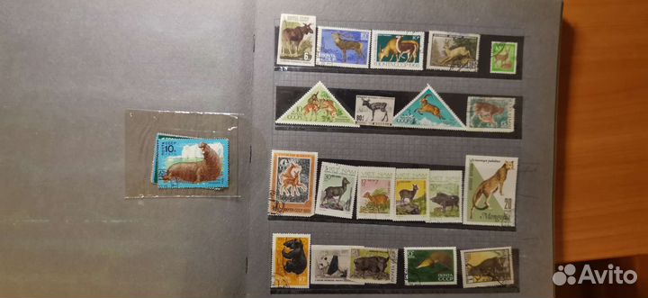 Альбом с марками разных стран