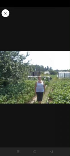 Участок 6 сот. (СНТ, ДНП)