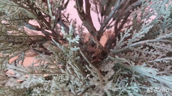 Искусственные цветы IKEA