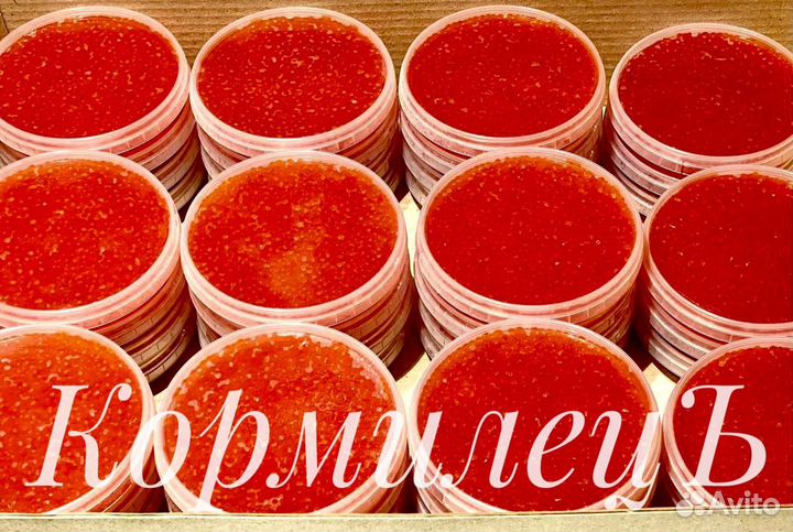 Форель охлажденная непотрошенная из Карелии