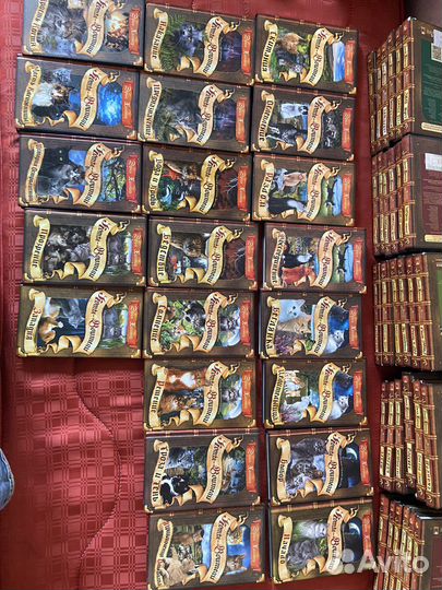 Коты воители специальные издания