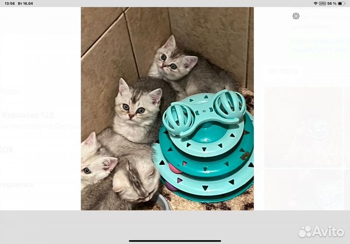 Предлогается к продаже