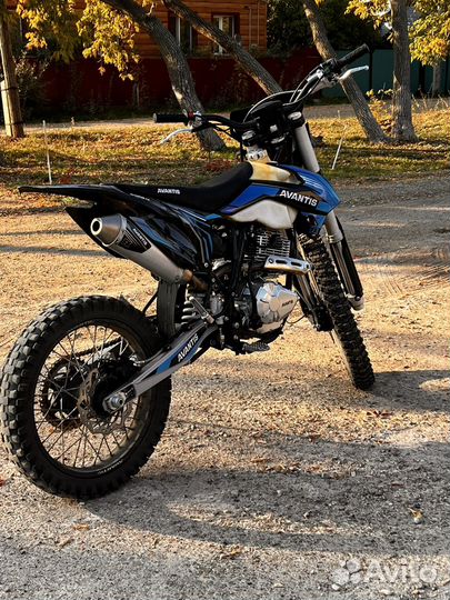 Avantis FX 250 LUX