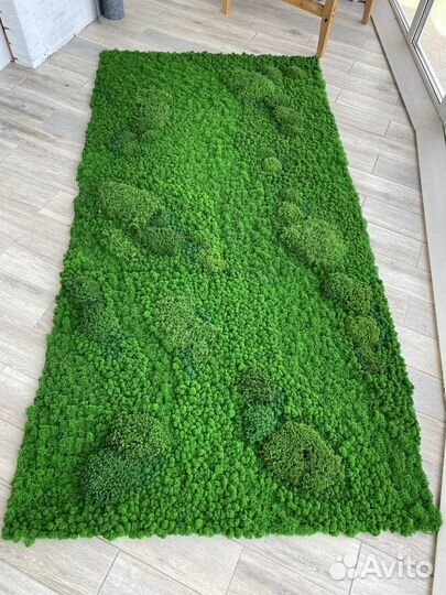 Панели из стабилизированного мха