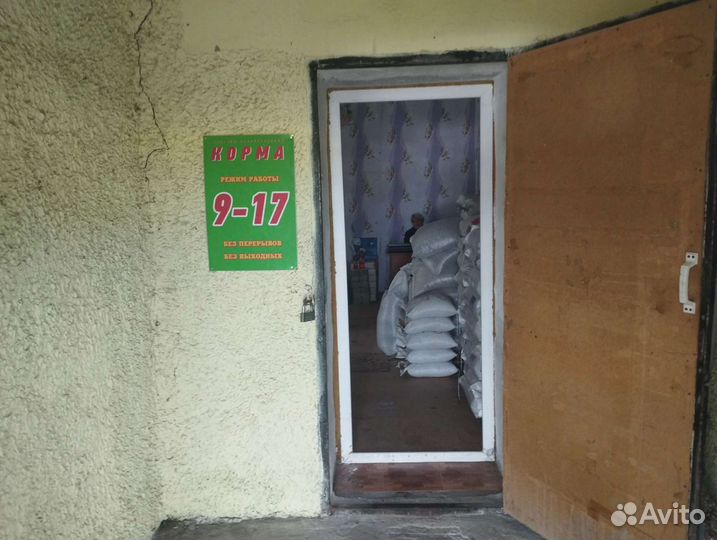 Корма на ковровой