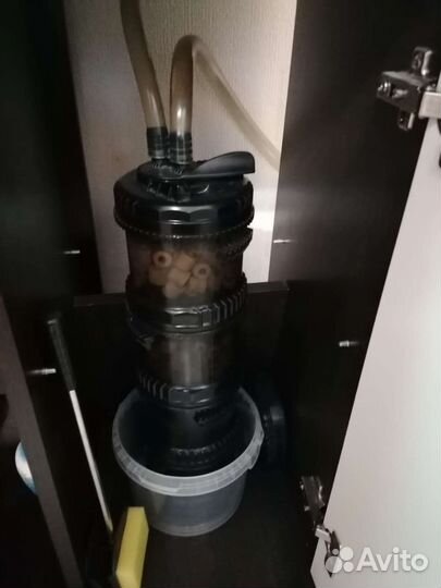 Аквариум с тумбой 160 л. с аксолотлями