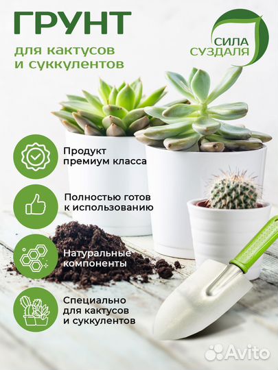 Грунт для кактусов и суккулентов