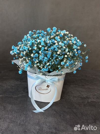 Ярко-голубая гипсофила в коробочке