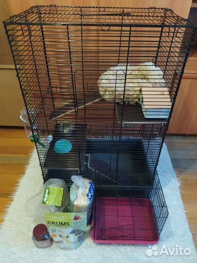 Клетки для грызунов
