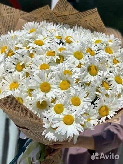 Букет из полевых ромашек