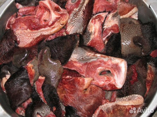 Рубец Обрезь Хрящи и обрезки говяжьи для собак