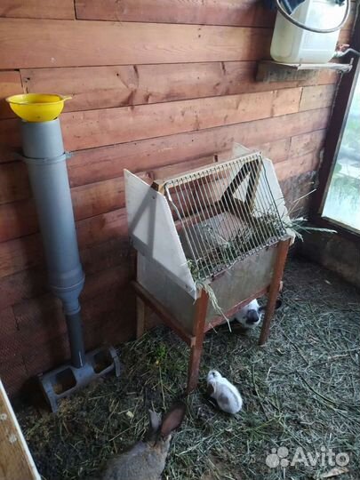 Загон для кроликов Б/У