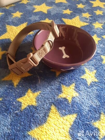 Миска, шлейка и ошейник