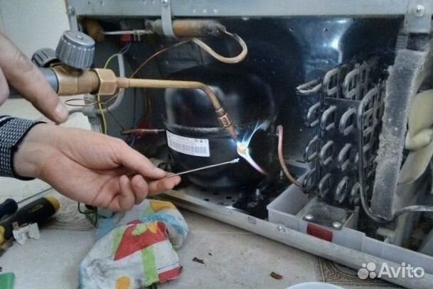 Ремонт стиральных Ремонт посудомоечных машин