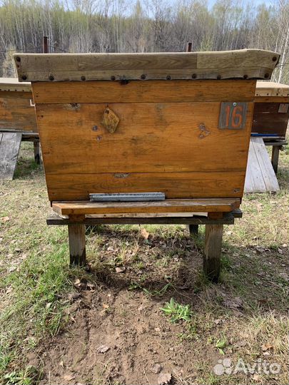 Улей для пчел