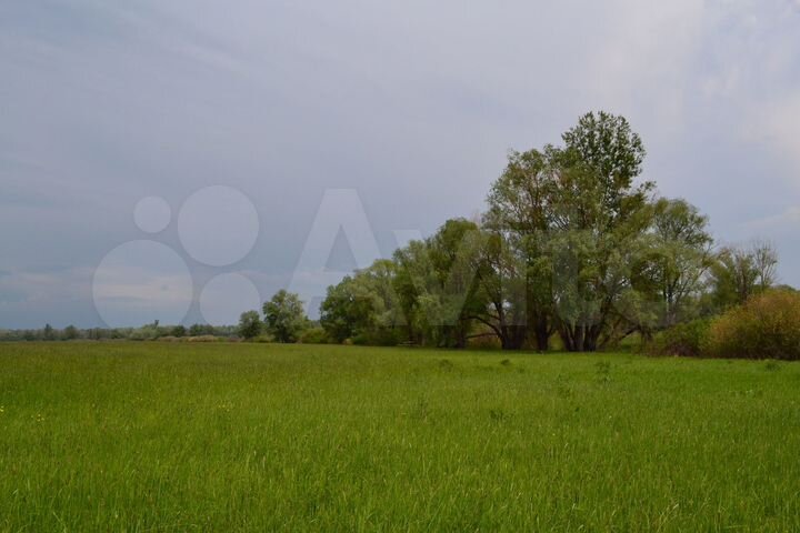 Участок 371,95 га (СНТ, ДНП)