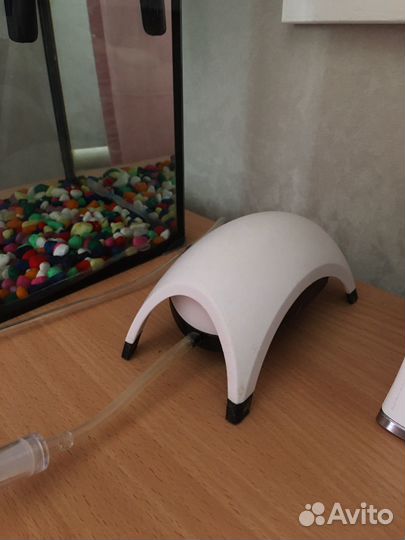 Аксолотль с аквариумом и всеми комплектующими