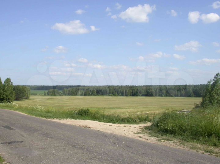 Участок 4 га (ИЖС)