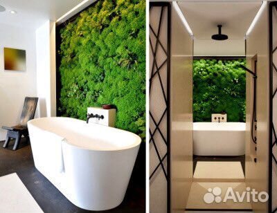 Фито стены и картины из стабилизированного мха. Пр