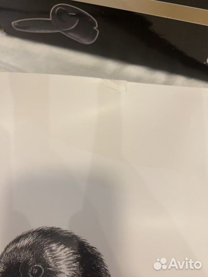 Плакаты постеры