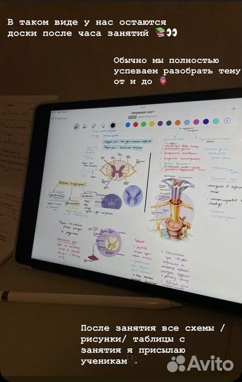 Репетитор по химии и биологии.Подготовка к егэ/огэ