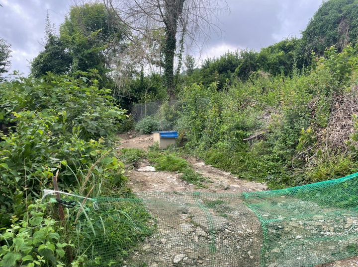 Участок 7,1 сот. (СНТ, ДНП)