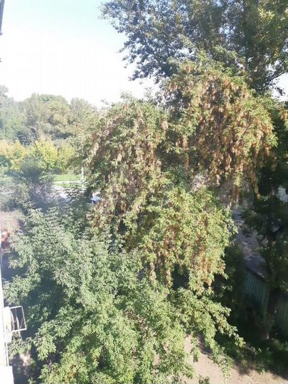 Комната 14 м² в 1-к., 4/5 эт.